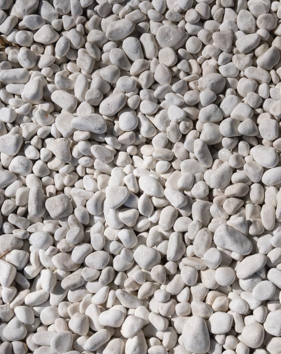 Sesame Image