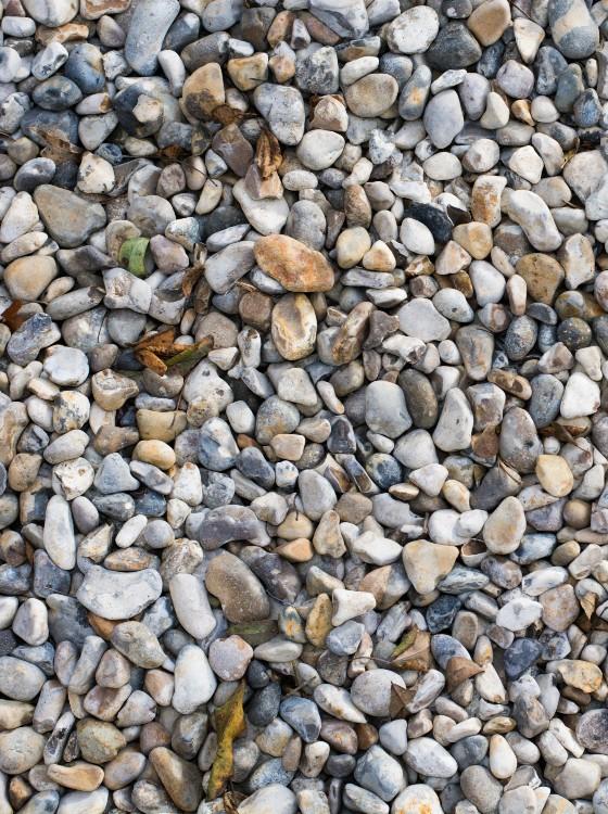 Lentil Aggregate