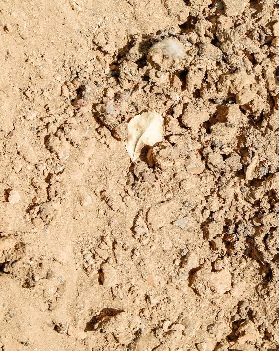 Quarry Sand